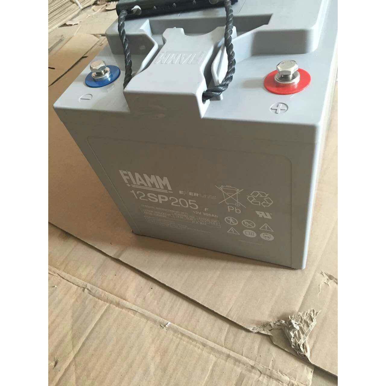 FIAMM非凡蓄电池12SP205 非凡电池12V205AH 直流屏UPS 电力 风电