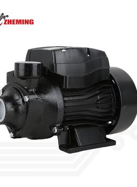 HQB60直流漩泵12V24V高扬程大流量直流太阳能地面泵DCsolarpump