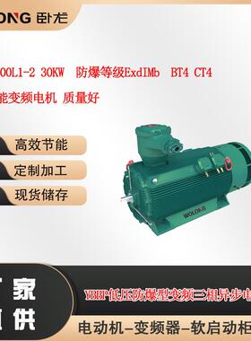 YBPT3-200L1-230W防爆等级ExdIMbBT4CT4高效节能变频电机