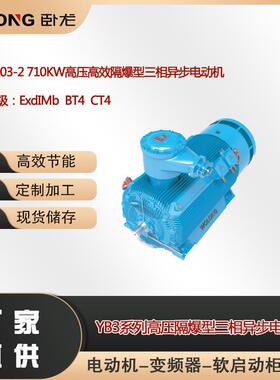 YB3-4003-2710W高压高效隔爆型三相异步电动机ExdIMbBT4CT4
