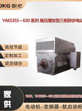 YAS高压增安三相异步电动机防护等级IP55IP56