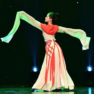 演出服孙科同款 盛世宴歌古典舞蹈服唐乐水袖 惊鸿舞汉唐飘逸女甩袖