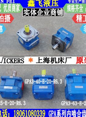 GPA3-40-E-20-R6.3 63 25内啮合齿轮油泵EK1 EK2 P磨床泵30