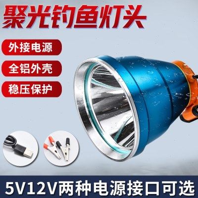 头灯钓鱼专用钓鱼灯夜钓灯头超亮强光蓝光头戴式大容量野钓户外5V