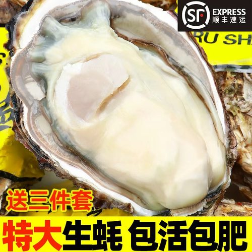 蚝朋满座乳山生蚝产地直发
