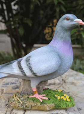 花园装饰 庭院摆件户外阳台 房顶装饰摆设树脂S动物仿真鸽子摆件