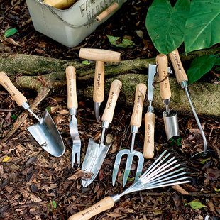 花小白家用木柄不锈钢园艺工具花园种植工具耙子锄头带刻度窄铲