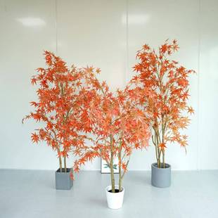 仿真绿植枫树日式庭院鸡爪槭假树大型室内造景落地摆件红枫树植物