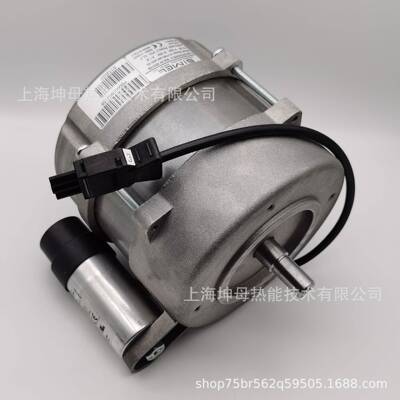 Weishaupt/威索电机ECK03/H-2/1风机马达