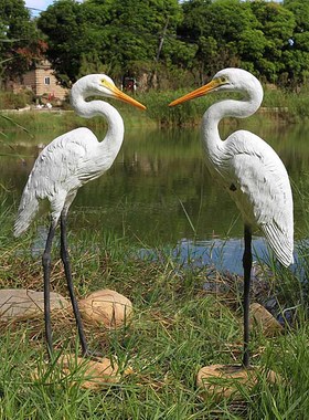 白鹭摆件仿真花园白鹤雕塑户外落地玻璃纤维假山水池造景庭院装饰