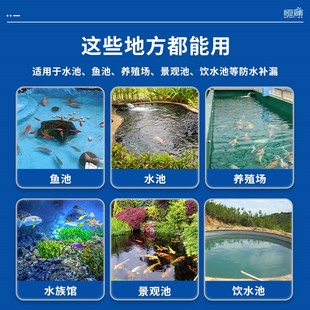 生态养殖漆鱼池防水涂料双组份长期泡水鱼缸水池补漏材料泳池户外