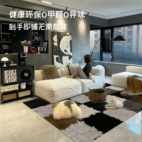客厅地垫法式地毯2025新款高级感沙发茶几毯无甲醛无异味吸音家用