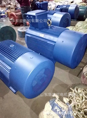 YTSP355M2-8-160KW电机不锈钢格兰头YSP电机定制开编码器检修窗口