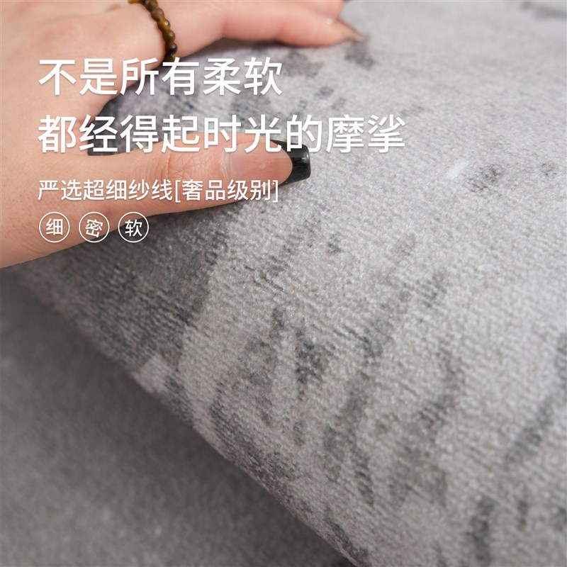 极简地毯客厅202l5新款免洗可擦轻奢高级复古加厚沙发卧室地垫家