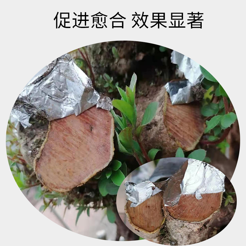 盆景铝箔胶带 树木切口铝箔 盆景 保温锡纸 促进切口S愈合5CM30M