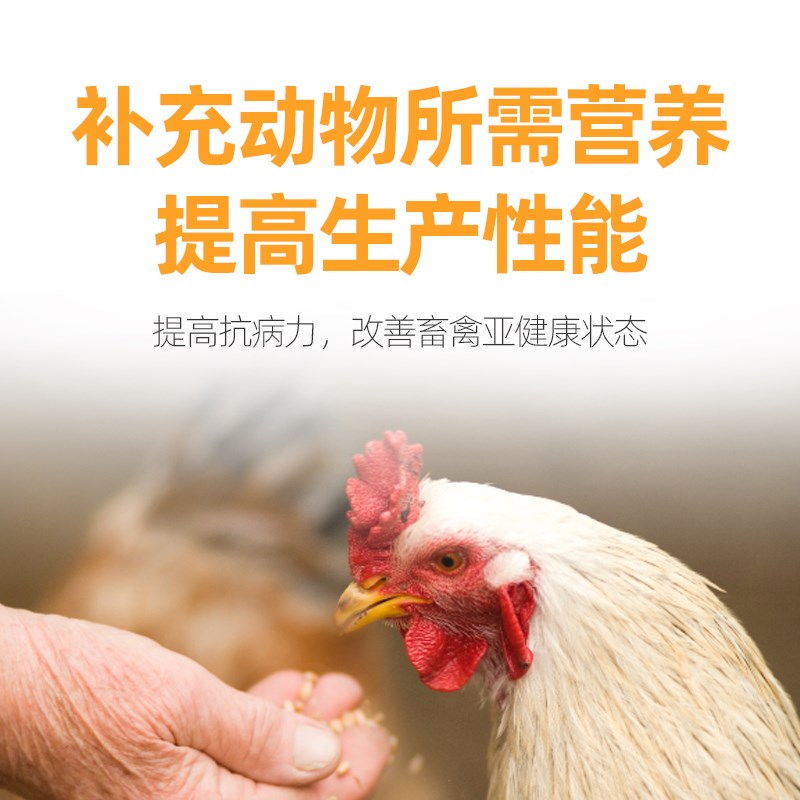 兽用复合多维补营养素猪牛羊鸡鸭鸵鸟饲料电解多种维生素黄金颗粒