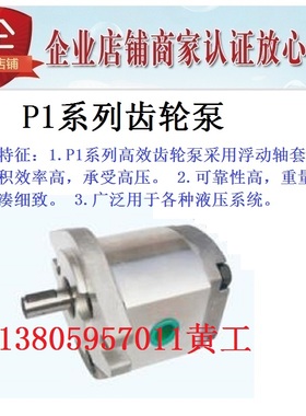 齿轮泵P101RP01G P102RP01G P127RP01G P135RP01G P104RP01G GT