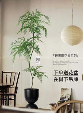 蓝色的花b楹仿真植物落地盆栽室内大型仿生绿植摆件客厅轻奢装饰