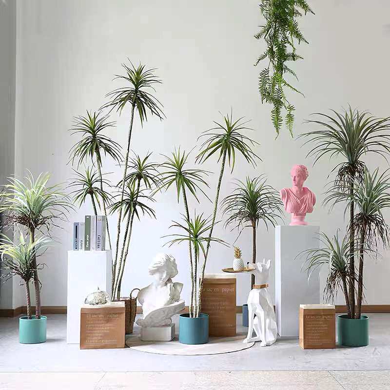 沙漠狭叶龙血树假绿植剑麻凤尾丝兰植物仿真千年木龙血树荷兰铁