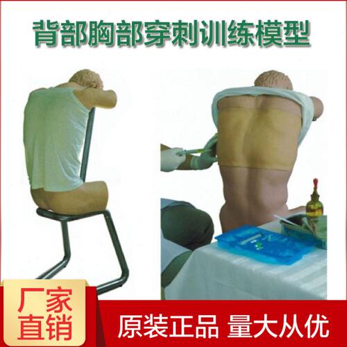 穿拟胸刺模型胸部叩诊训练人腔背部（穿前训练模 刺倾坐位部）胸