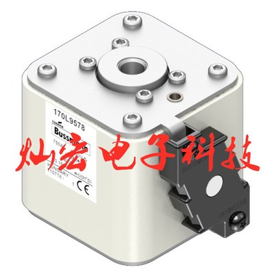 高压/低压熔断器170M2619 170M6468-G 170L5780