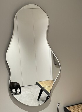 丹麦ferm LIVING Pond Mirror湖泊穿衣镜异形镜子墙面挂镜