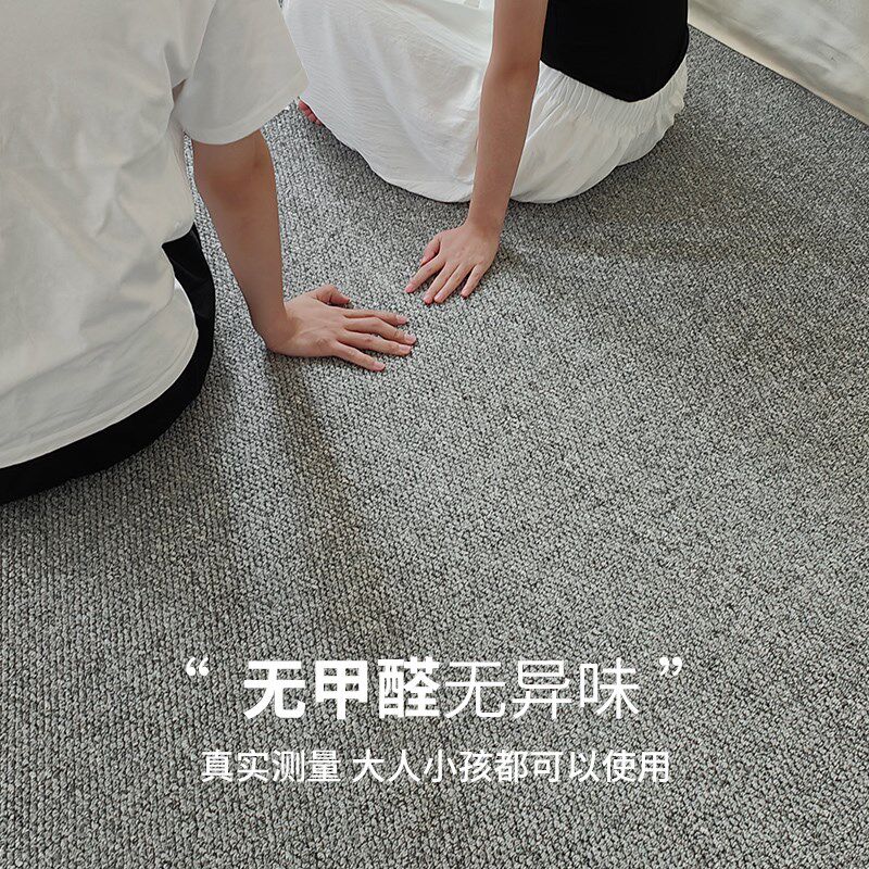 仿剑麻地毯客厅2024新款卧室床边复古风摄影棚拍照地垫大面积全铺