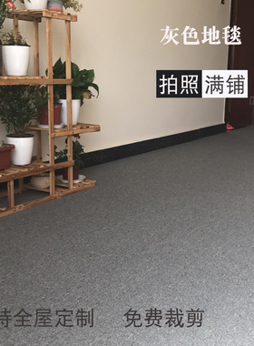 灰色地毯拍照摄影垫无纺布底家z用茶几地垫客厅房间满铺定做工作