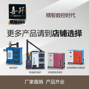 新型节能环保锅炉家用采暖炉地暖反烧小型燃煤水暖供暖热水暖气小