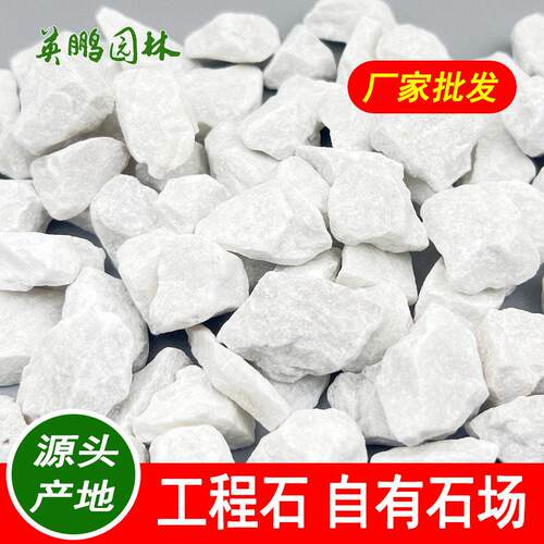 2-3厘米白色碎石子惠东露营地铺设白砾石深灰色洗米石散车