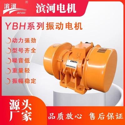 YBH-20-4系列振动电机激振力20KN滨河制造