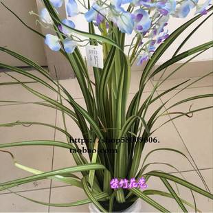 环保仿真孔雀兰水草/绿植水生套装田园假树绿植盆栽狗尾草芦苇草