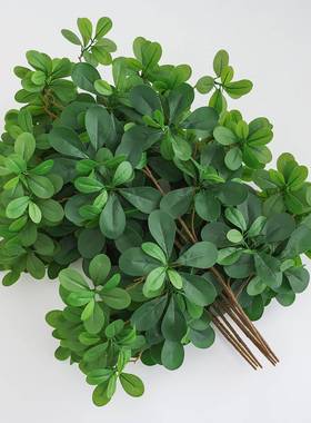 仿真树叶榕树叶树枝假叶子绿色植物塑料假树室内装饰福禄桐