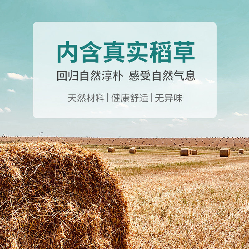 生态稻草漆室内外墙肌理漆稻草泥民宿复古黄泥夯土墙面漆艺术涂料