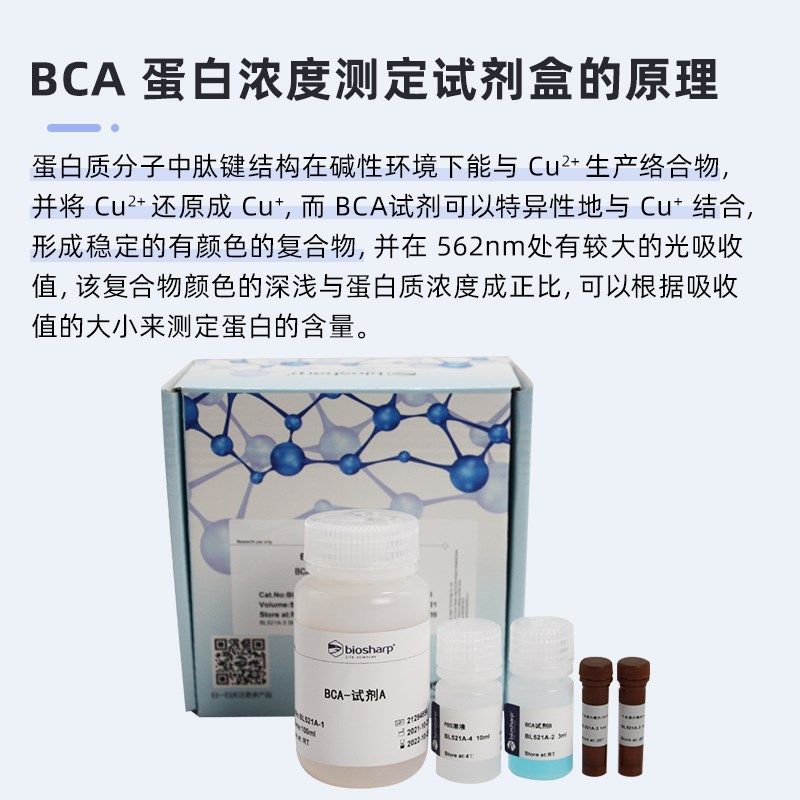BL521A BCA蛋白浓度测定试剂盒 500T/套