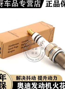奥迪 A4L B8 B9 A5 A6L C7 Q5 S3 S4 S5 TT 原厂火嘴 原装火花塞