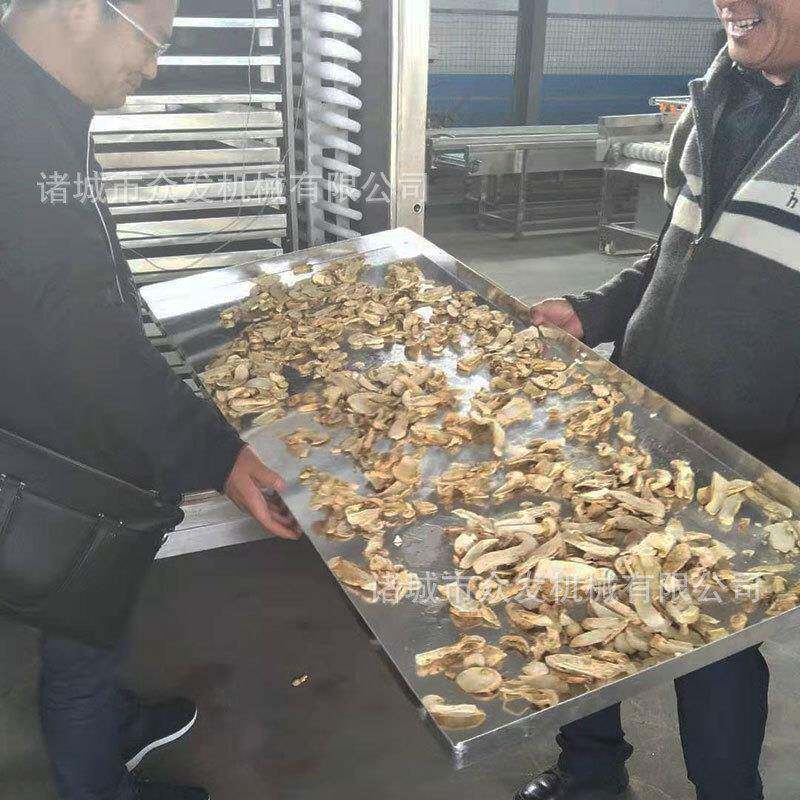 冻干蘑菇机器野生菌冷冻干燥机厂家微生物菌种真空冻干设备