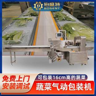 广东伯盛特牌BST 机高白菜自动打孔排气打包机 600XQD蔬菜气动包装
