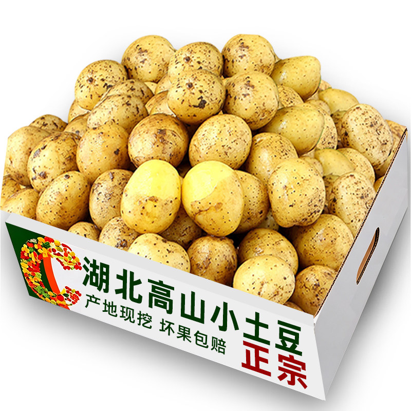 湖北现挖小土豆精选整箱包邮