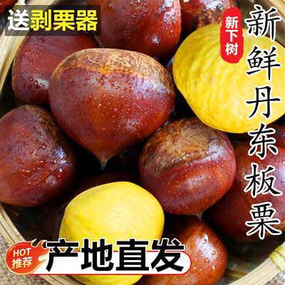 【2025新鲜丹东板栗】软糯香甜