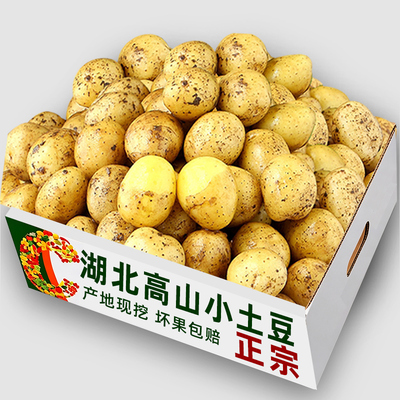 湖北现挖小土豆精选整箱包邮