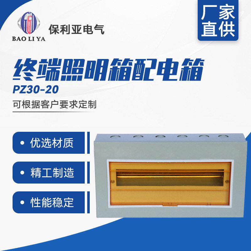 明装回路箱PZ30-20#终端照明箱配电箱带透明盖