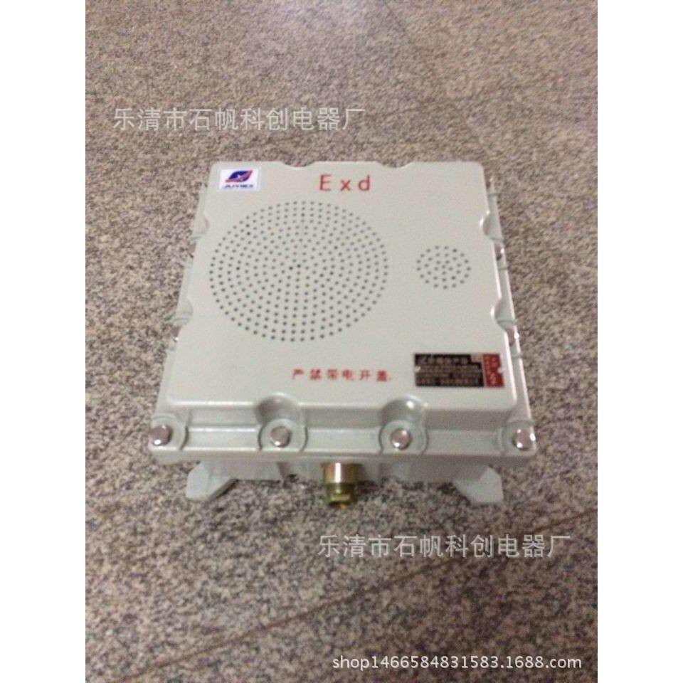 BHY-30W/100V防爆壁挂式音箱 有源防爆扬声器 壁挂式 监控