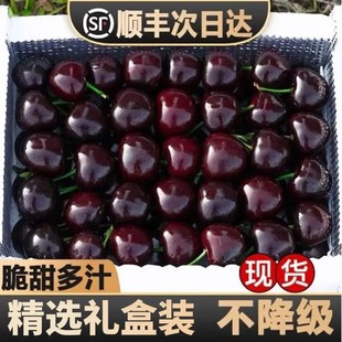 特大号车厘子海运智利进口拉宾斯5斤J-5J孕妇水果内附果径卡