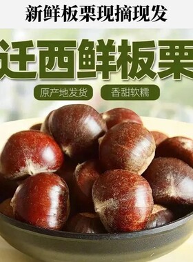 新人尝鲜价迁西板栗新鲜生栗子油栗燕山野生板栗好剥皮3113