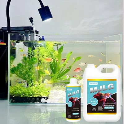 电解活菌生物酶多效合一硝化鱼缸净水剂水质稳定养鱼水族