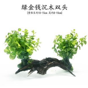 植物水草沉木新手造景懒人鱼缸活体水族箱装 饰水下水榕类水族淡水