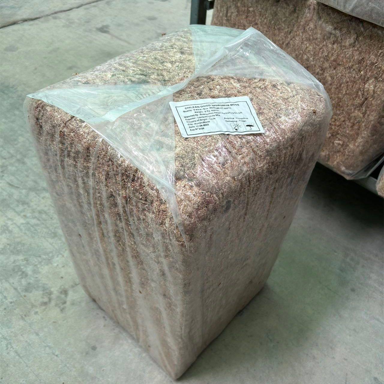 干水苔苔藓天然红水苔整包蝴蝶兰捕蝇草专用龟背竹鹿角蕨兰花专用