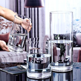 加厚花瓶特大号落地瓶玻璃雪柳花插花摆件客厅玻璃水养简约