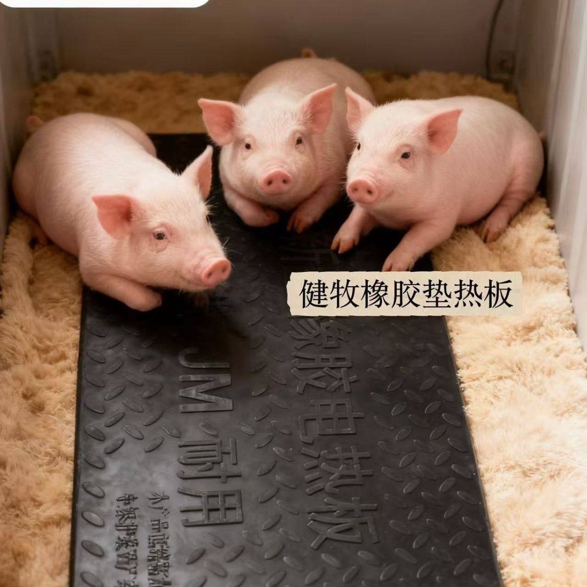 橡胶电热板仔猪兽用猪用养殖场加热宠物产床保温塑料漏粪板禁用,畜牧/养殖物资,畜牧/养殖器械,淘宝优惠券,粉丝福利购,淘宝优惠卷